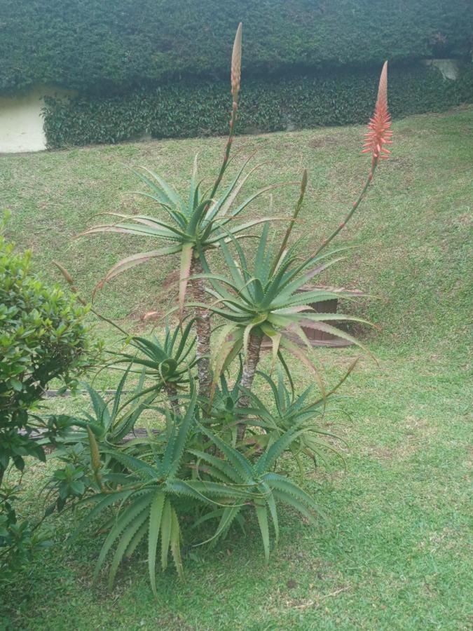 Pousada Campos Sonho Meu Campos do Jordão Exteriör bild